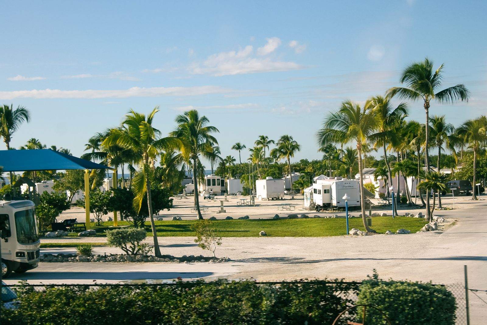 RVs and motorhomes parked among palm trees at a Florida RV resort under a blue sky
