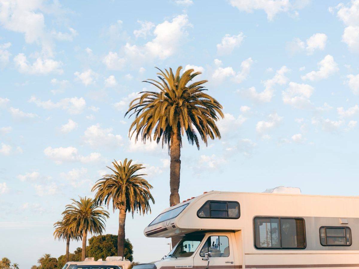 RVs parked under tall palm trees at a Florida RV park